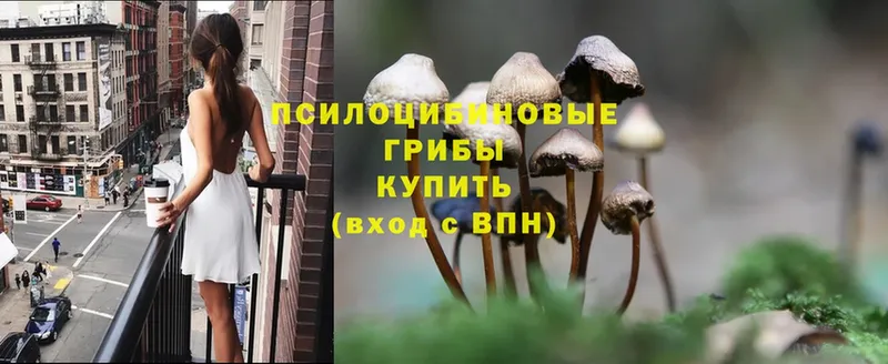 закладки  Зарайск  Галлюциногенные грибы Magic Shrooms 